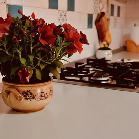 Casa Maglad * 노토